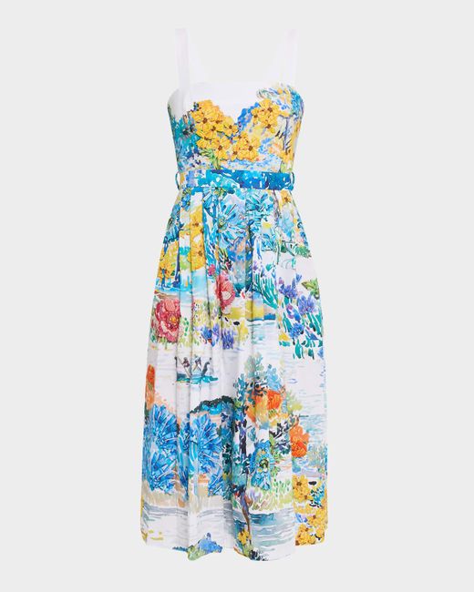 Mary Katrantzou Blue Iris Painterly-Print Sleeveless Fit-&-Flare Midi Dress