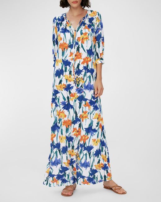 Diane von Furstenberg Blue Drogo Floral-print Elbow-sleeve Maxi Dress