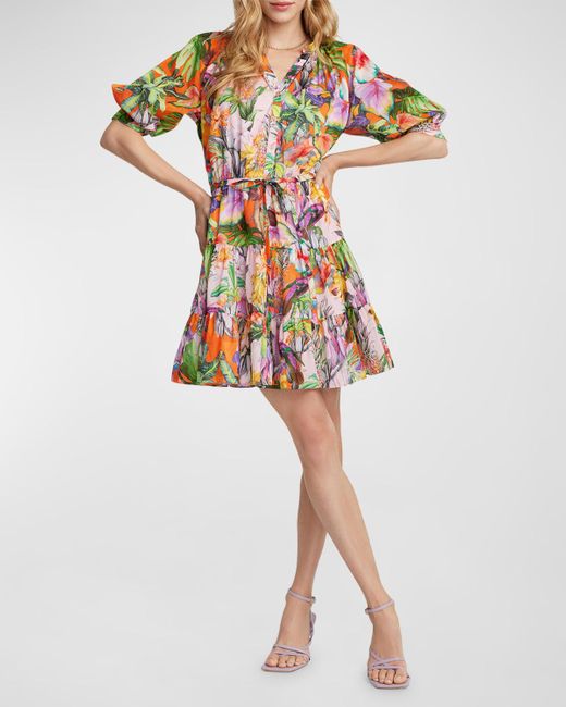 Robert Graham Multicolor Sydney Tiered Floral-Print Mini Dress