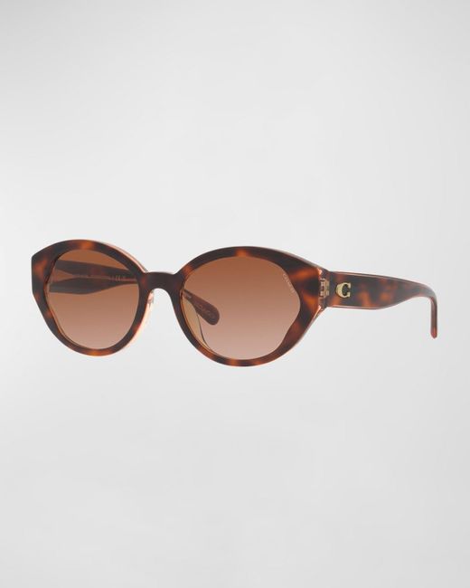 COACH Brown Wavy Acetate Oval Sunglasses