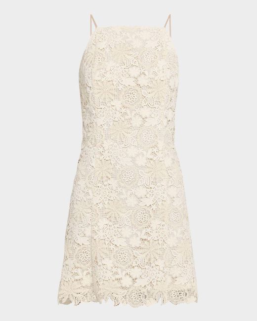 Marie Oliver Natural Noah Lace Mini Dress