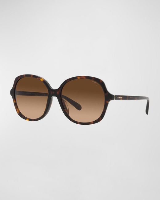 COACH Brown Gradient Square Acetate Sunglasses