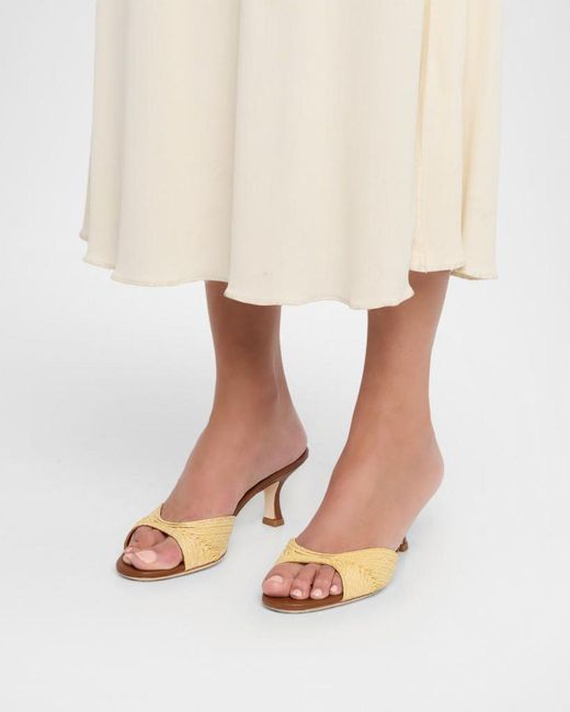 Staud Multicolor Brigitte Raffia Kitten-Heel Mules