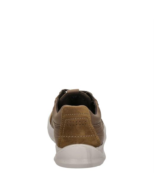 Ecco Heren Sneakers | Soft 7 M Bruin - DR. Sante
