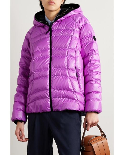 Moncler Purple Narlay Jacket