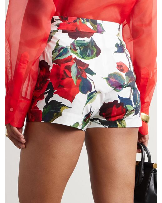 Short En Popeline De Coton À Imprimé Fleuri Dolce & Gabbana en coloris Red