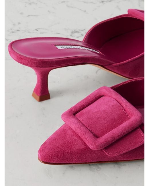 Manolo Blahnik Pink Maysale 50 Buckled Suede Mules