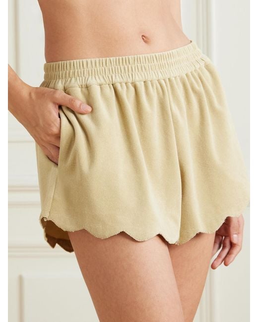 Marysia Swim Natural Bellini Scalloped Cotton-Blend Terry Shorts