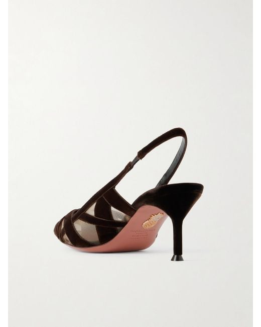 Aquazzura Brown Wrap Me Up 65 Velvet And Mesh Slingback Pumps