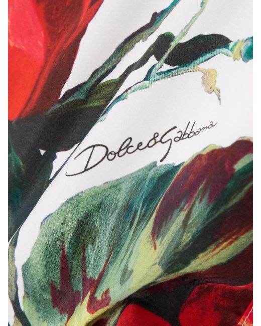 Short En Popeline De Coton À Imprimé Fleuri Dolce & Gabbana en coloris Red