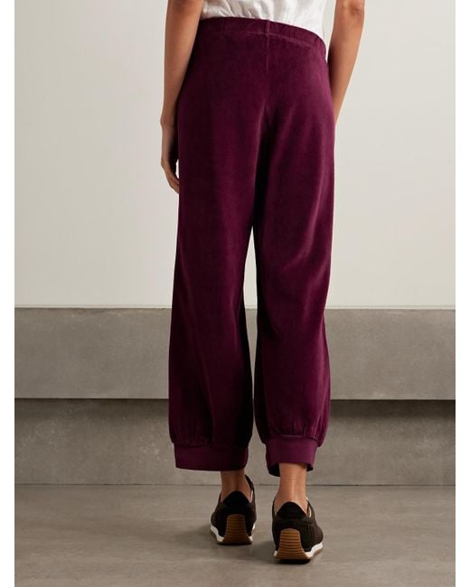 Suzie Kondi Purple Tosk Cropped Cotton-Blend Velour Track Pants