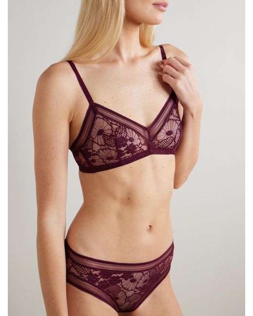 Eres Purple Royal Leavers Lace Soft-Cup Bra