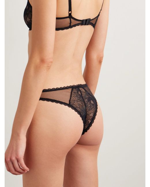 Kiki de Montparnasse Black Dahlia Tulle-Trimmed Stretch-Lace Briefs