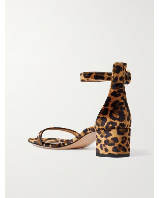 Gianvito Rossi Natural Gaeta 45 Leopard-Print Velvet Sandals