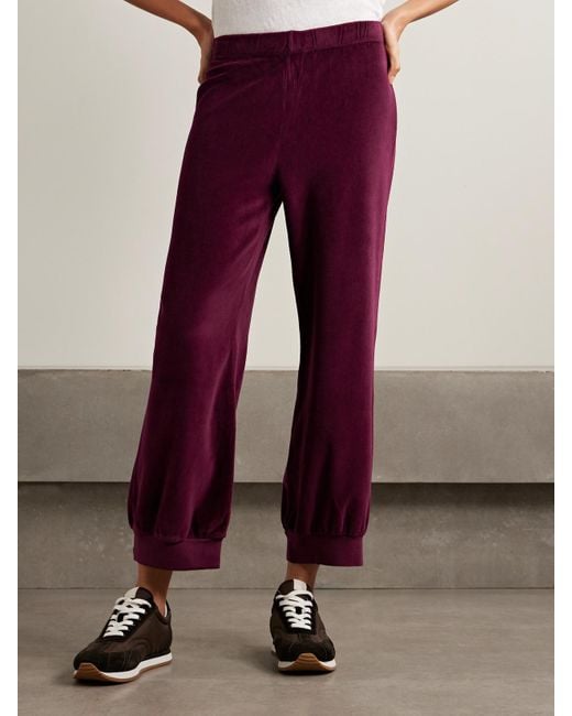 Suzie Kondi Purple Tosk Cropped Cotton-Blend Velour Track Pants