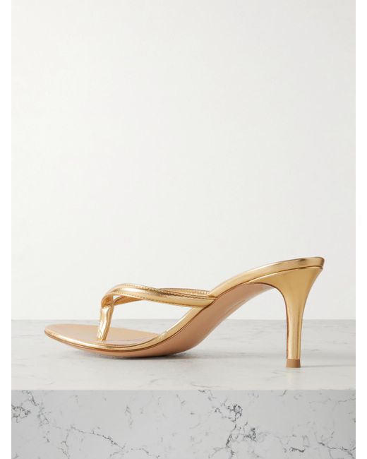 Gianvito Rossi Natural Calypso 70 Mules Aus Leder