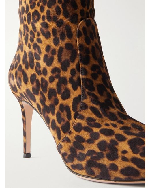Gianvito Rossi Brown Hansen Cuissard 85 Leopard-Print Suede Over-The-Knee Boots