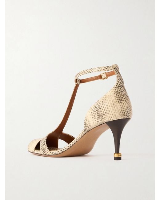 Chloé Natural Cleia 70 Snake-Effect Leather Pumps