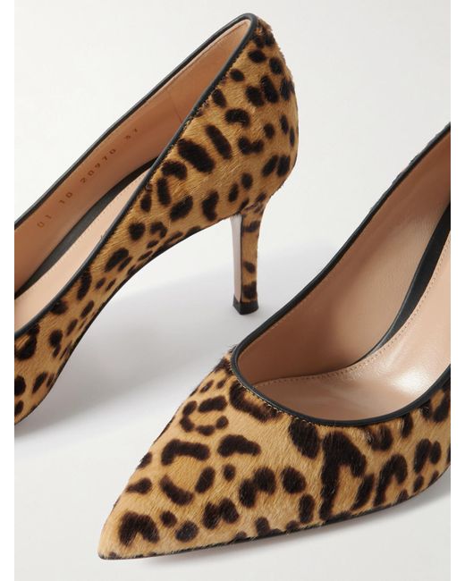 Gianvito Rossi Multicolor 70 Leopard-Print Calf Hair Pumps