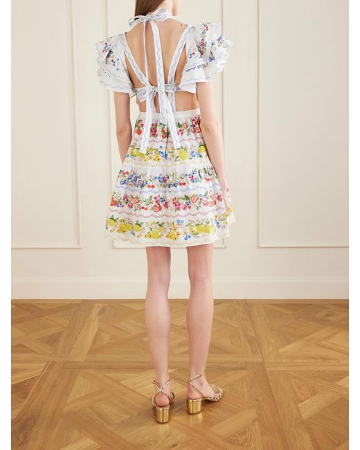 Mary Katrantzou Gray Margarita Ruffled Floral-Print Cotton-Poplin Mini Dress