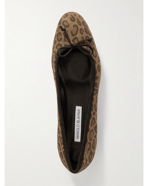 Manolo Blahnik Multicolor Veralli Bow-Detailed Leopard-Print Suede Ballet Flats