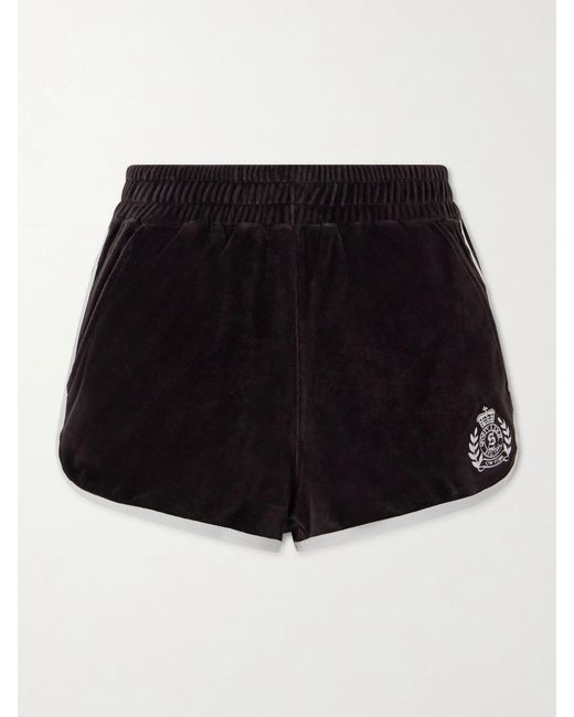 Sporty & Rich Black Embroidered Cotton-Velour Shorts