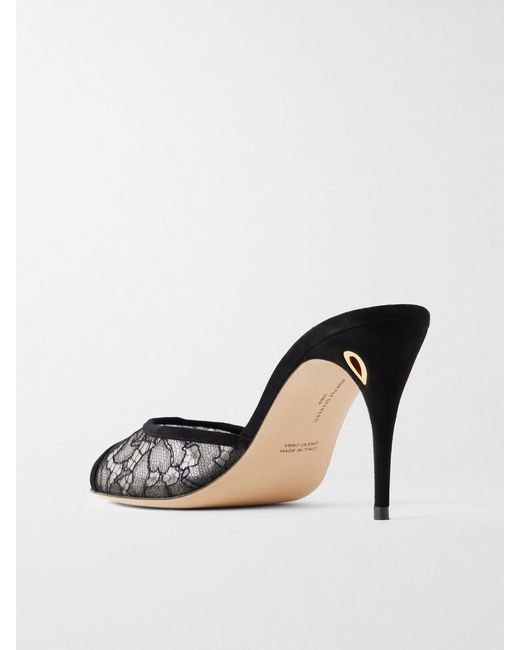 JENNIFER CHAMANDI Black Guido 85 Suede-Trimmed Lace Sandals