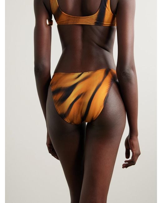 Culotte De Bikini Moyennement Couvrante Signature Swim X Roberto Cavalli, Tiger Face Skims en coloris Multicolor