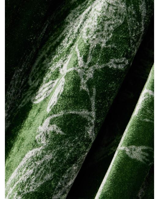 LaDoubleJ Green Camerino Printed Velvet Maxi Dress