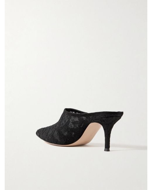Gianvito Rossi Black 70Mm Corded Lace Mules