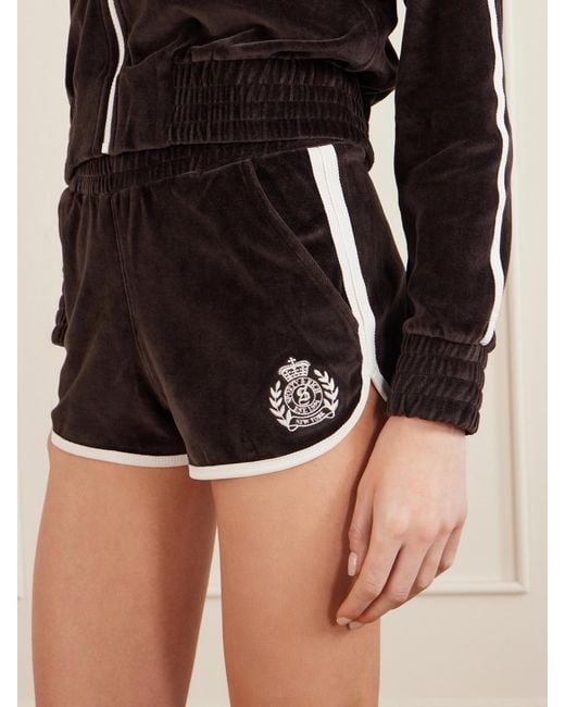 Sporty & Rich Black Embroidered Cotton-Velour Shorts