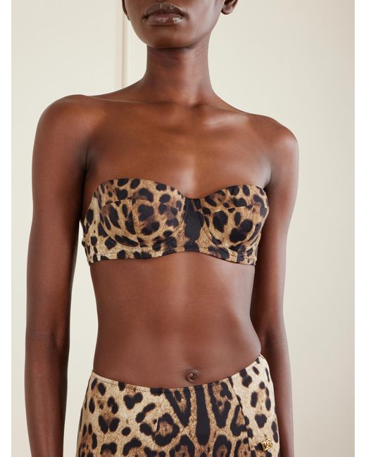 Dolce & Gabbana Brown Leopard-Print Balconette Bikini Top