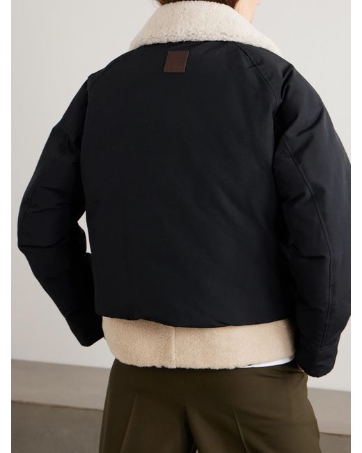Loewe Black Jackets