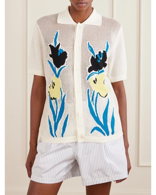 Marni Blue Intarsia Open-Knit Cotton Polo Shirt