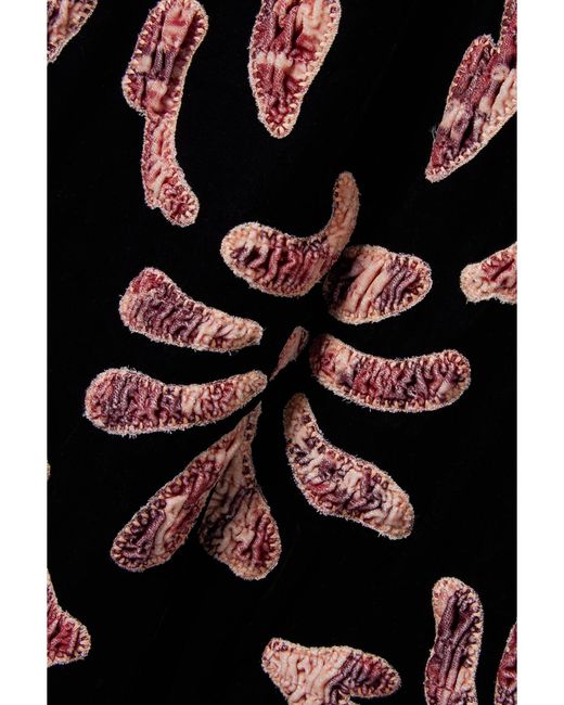 Sea Black Veda Appliquéd And Embroidered Velvet Midi Dress