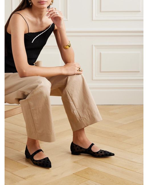 Manolo Blahnik Black Campari Grosgrain-Trimmed Flocked Mesh Ballet Flats
