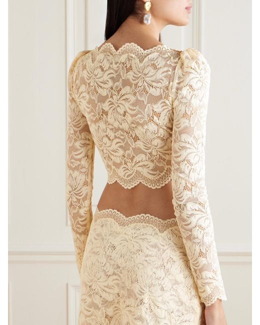 Rabanne Natural Scalloped Cropped Lace Top