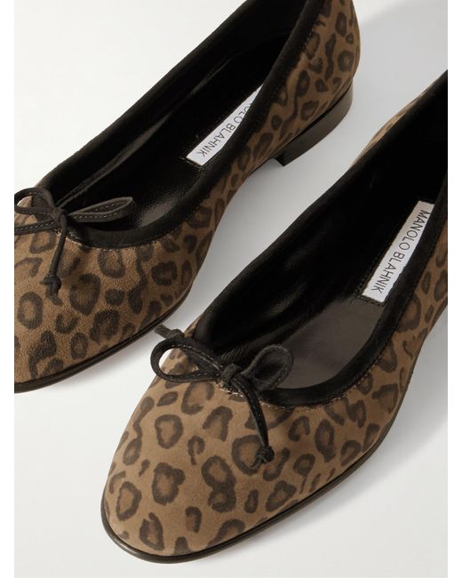 Manolo Blahnik Multicolor Veralli Bow-Detailed Leopard-Print Suede Ballet Flats