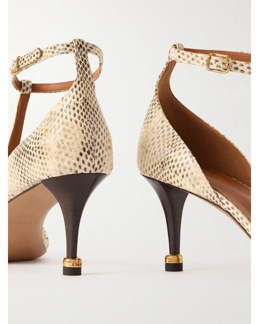 Chloé Natural Cleia 70 Snake-Effect Leather Pumps