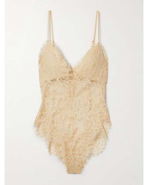 Zimmermann Natural Illustration Velvet-Trimmed Lace Bodysuit