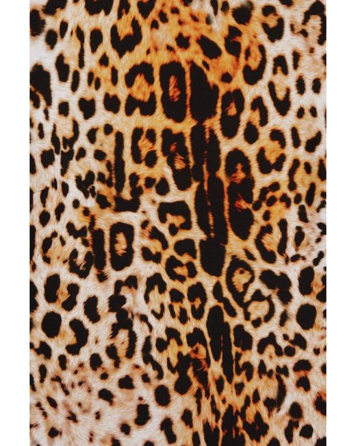 Halpern Natural Open-Back Leopard-Print Stretch-Jersey Maxi Dress