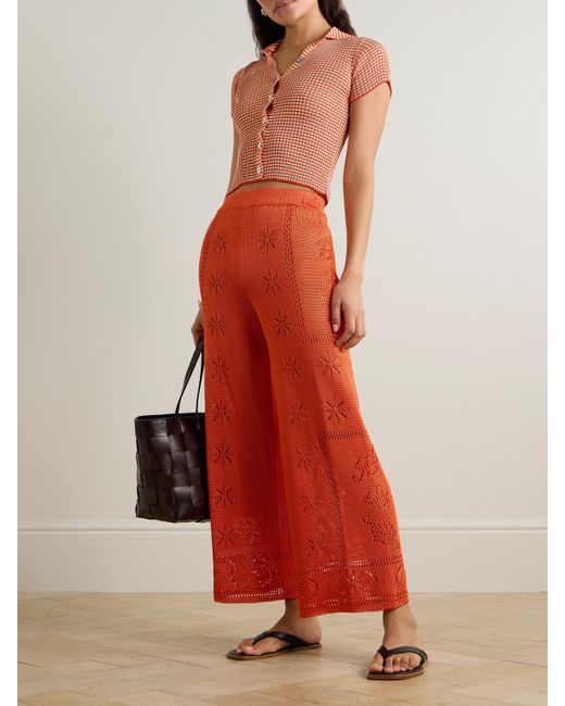 Calle Del Mar Orange Cropped Striped Ribbed-Knit Cardigan
