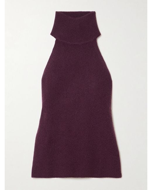 Lisa Yang Purple Freya Ribbed Cashmere Turtleneck Tank