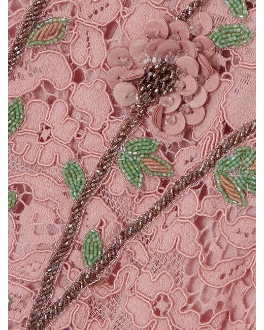 Costarellos Pink Marlena Embellished Corded-Lace Midi Dress