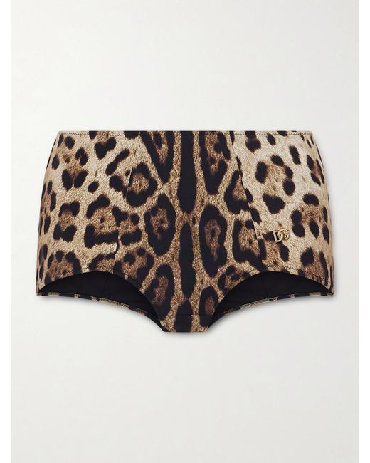 Dolce & Gabbana Multicolor Leopard-Print Bikini Brief