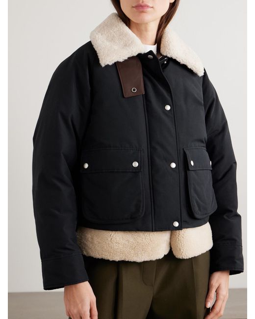 Loewe Black Jackets