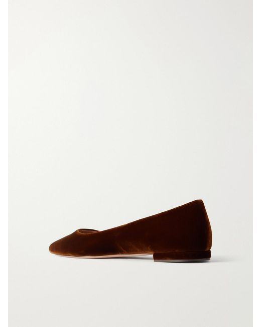 Gianvito Rossi Brown Gianvito Velvet Ballet Flats