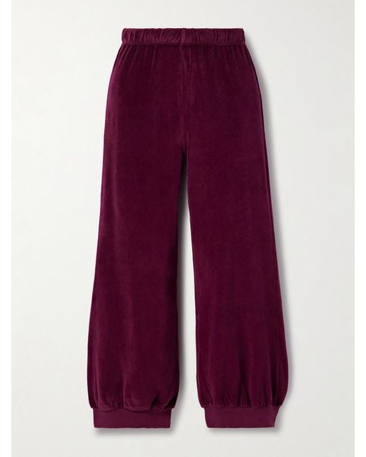 Suzie Kondi Purple Tosk Cropped Cotton-Blend Velour Track Pants
