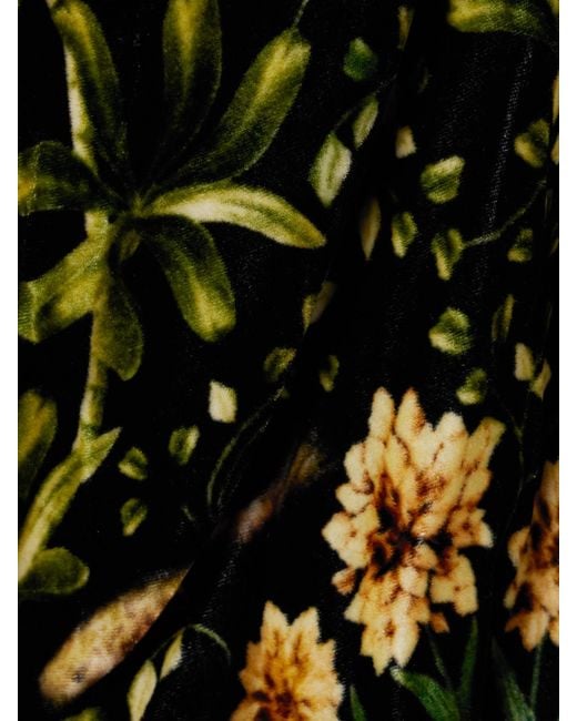Agua Bendita Black Alamo Paramo Cutout Floral-Print Velvet Maxi Dress