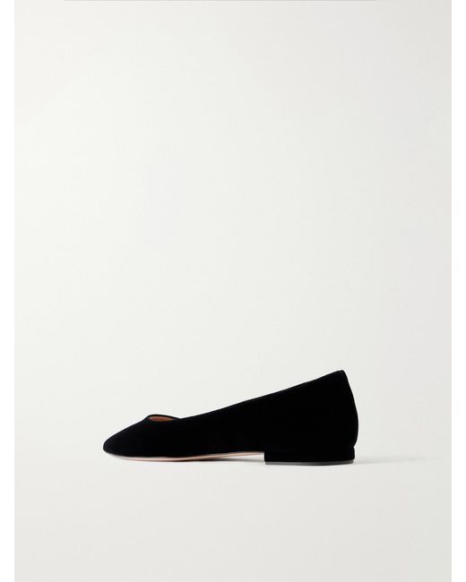 Gianvito Rossi Black Gianvito Velvet Ballet Flats